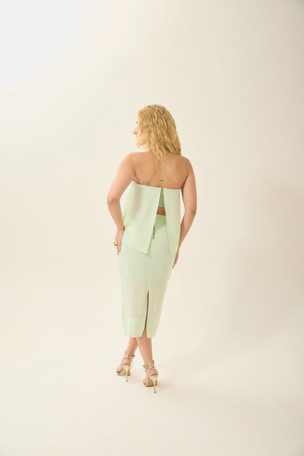 Saia Chilli 02 - Image 2